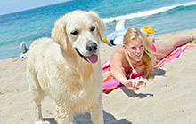 Urlaub mit Hund