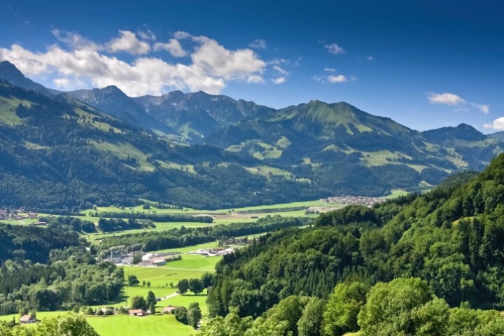 Schwarzwald