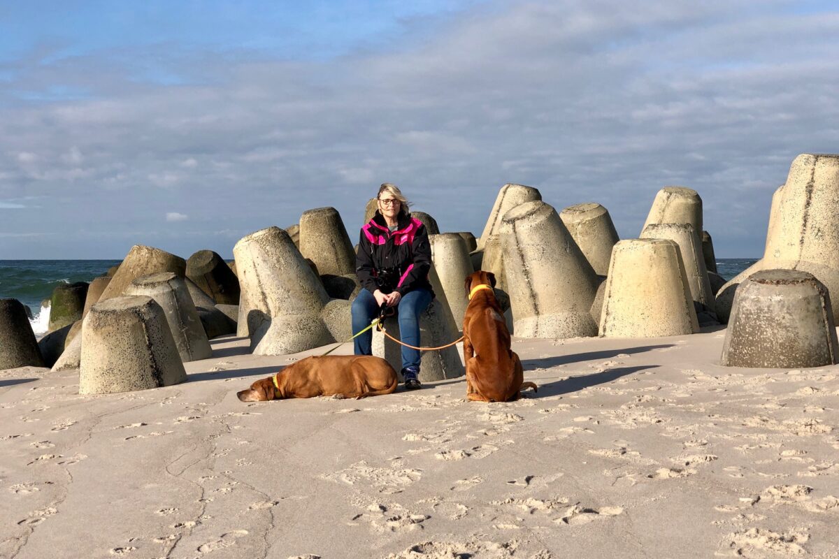 Wandern mit Hund auf Sylt an der Hoernum Odde