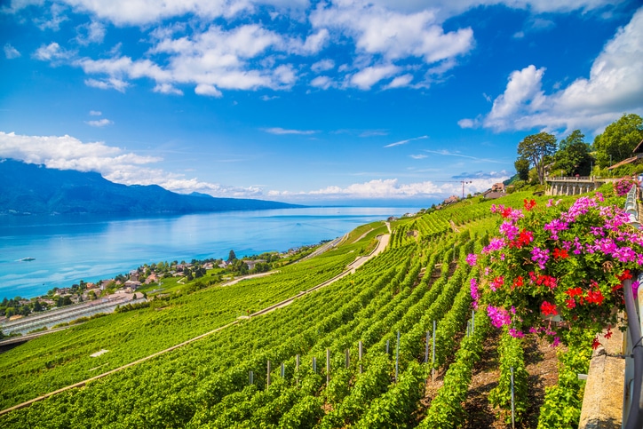 Lavaux Weinterrassen am Genfer See