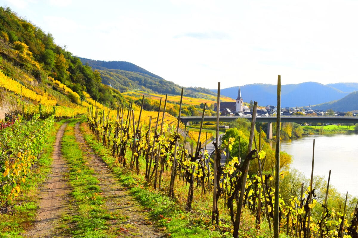 An der Deutschen Weinstraße - Entdecken Sie die Toskana Deutschlands