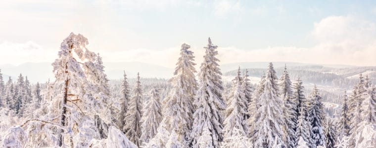 harz-winter