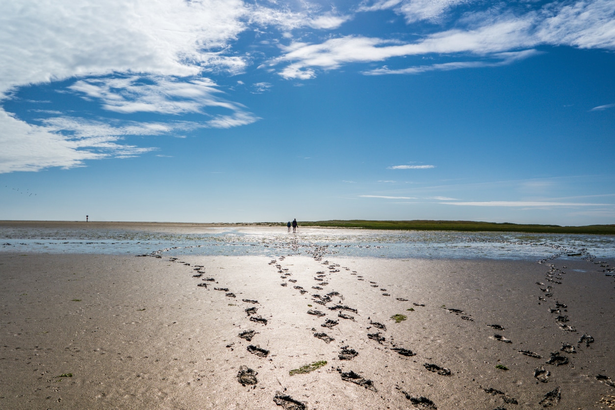 10 Tipps für einen Urlaub in Sankt PeterOrding Freiheit frei Haus