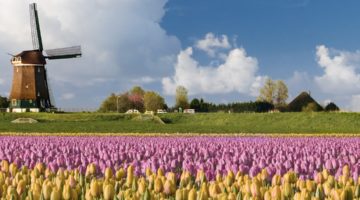 10 tolle Feriendomizile in den Niederlanden