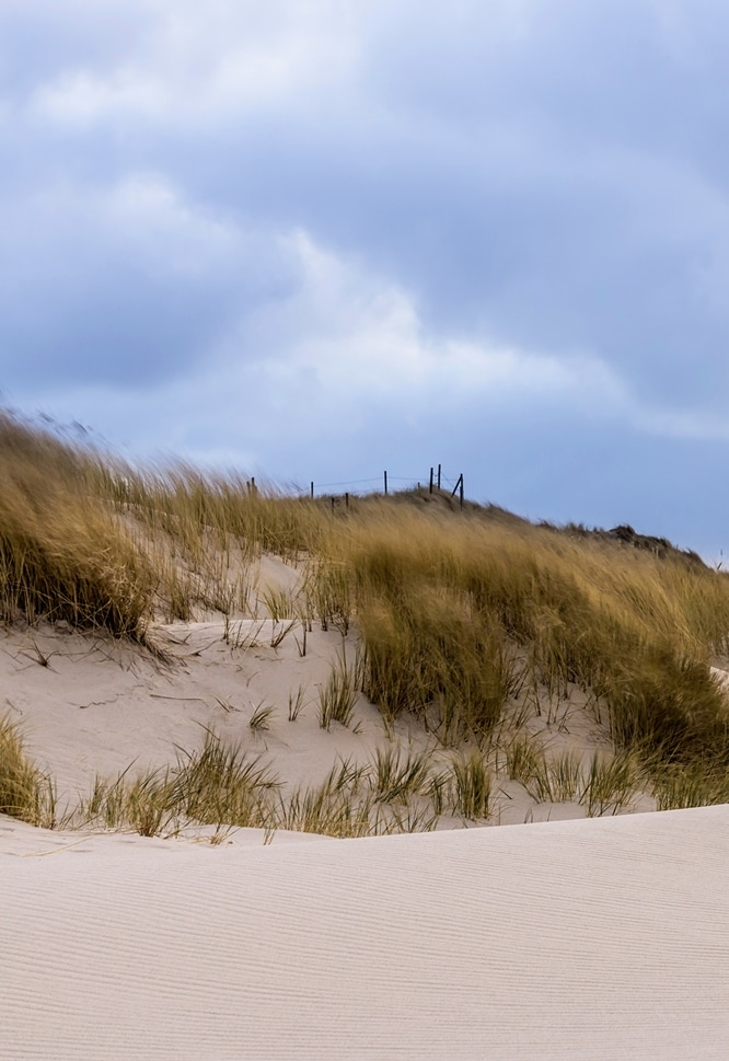 Festland nordsee Doggerland