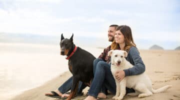 Attractive couple on the beach with their dogs