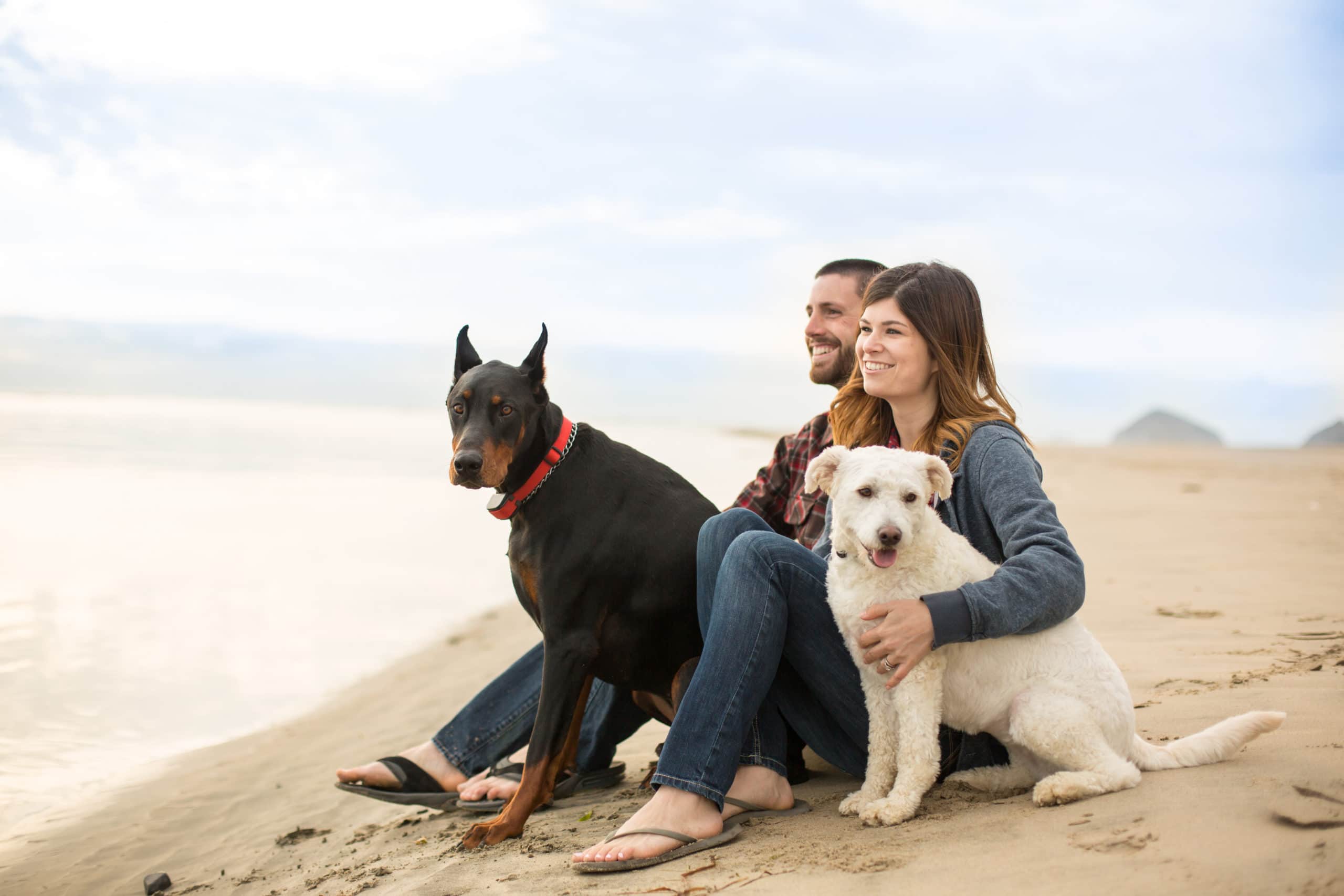 FerienhausUrlaub mit Hund 10 herbstliche Reiseziele für eine