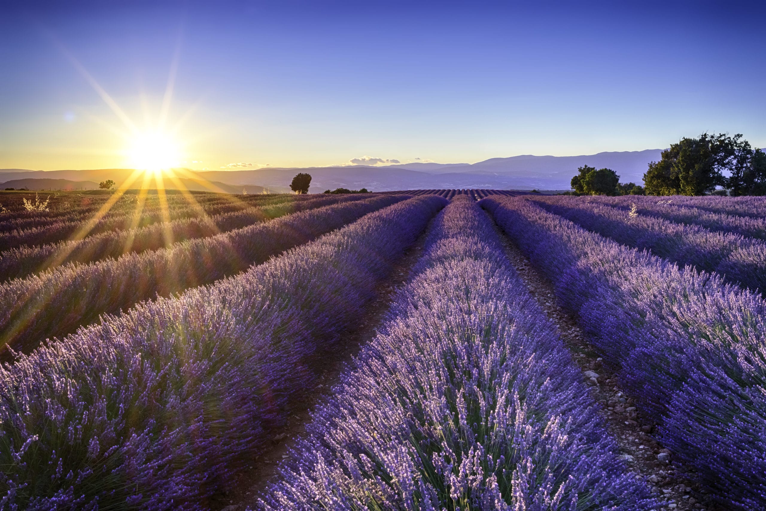 Die schönsten Städte in der Provence