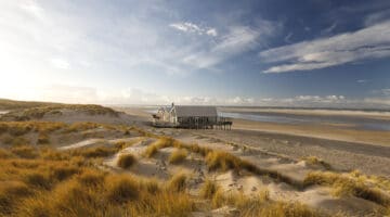 Texel