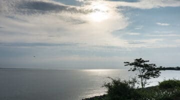 Fehmarn_Fehmarnsundbruecke-4