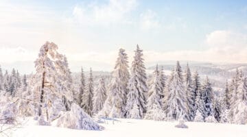 Harz, Winterlandschaft