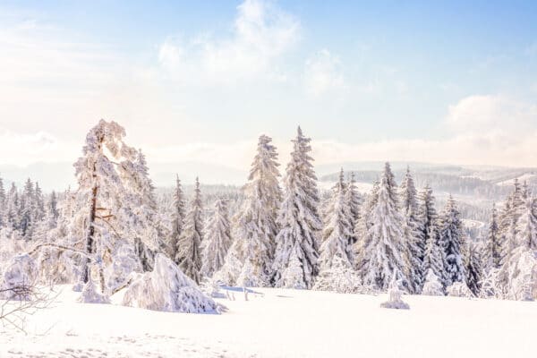 harz-winter