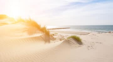 Beautiful sand dunes on the North Sea coast in Renesse, Zeeland, Holland