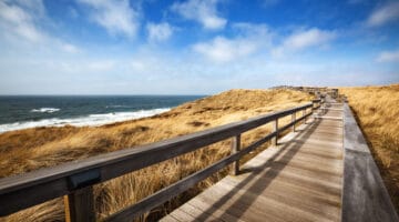 Wooden Walking Path
