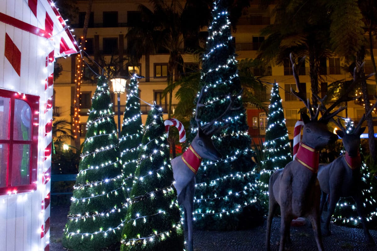 Weihnachtsbeleuchtung