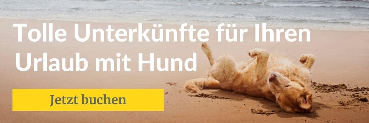 Urlaub mit Hund buchen