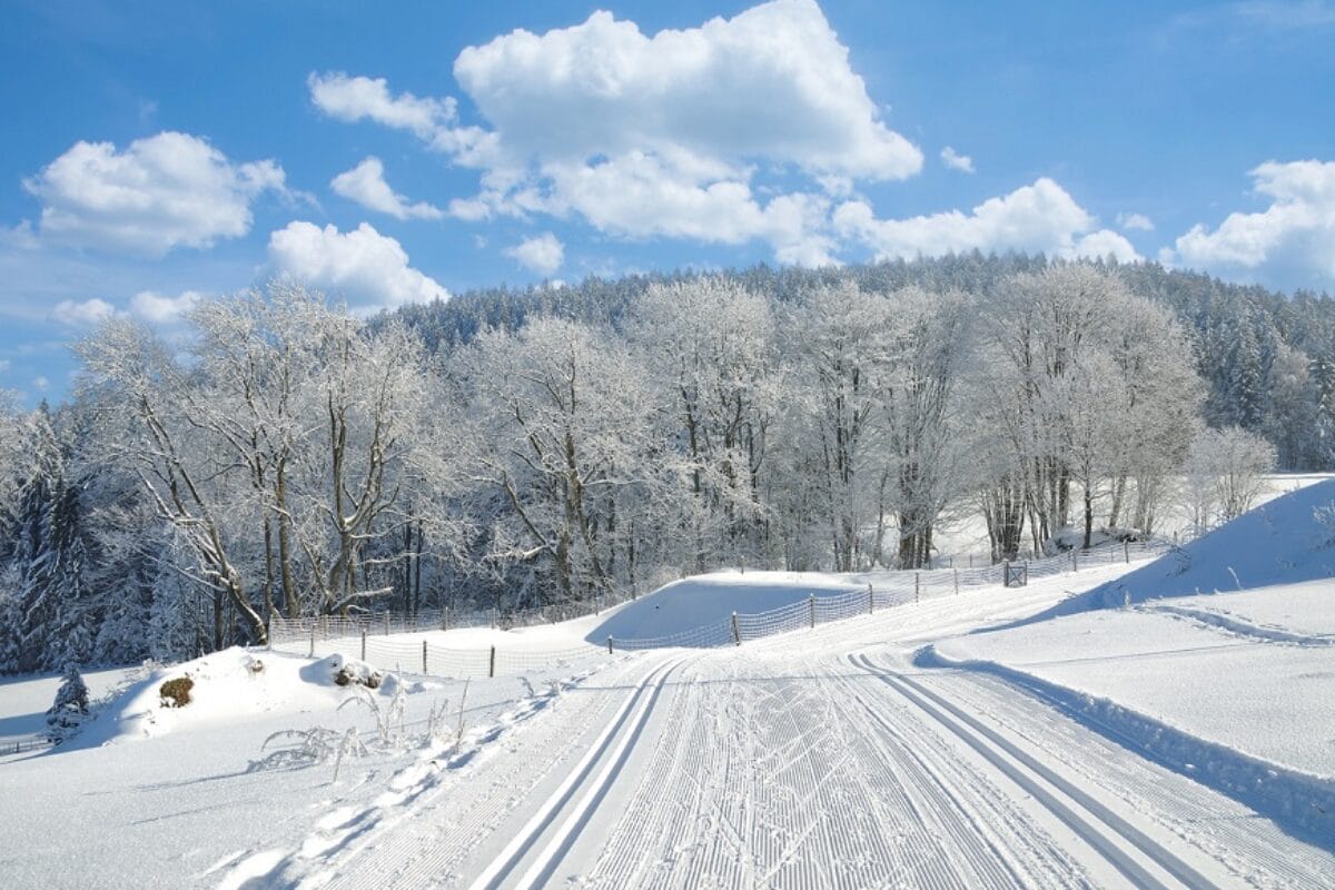 Skifahren im Bayerischen Wald