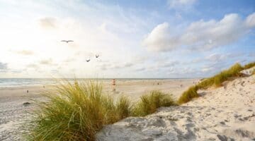Urlaub Dänemark Highlights 2022