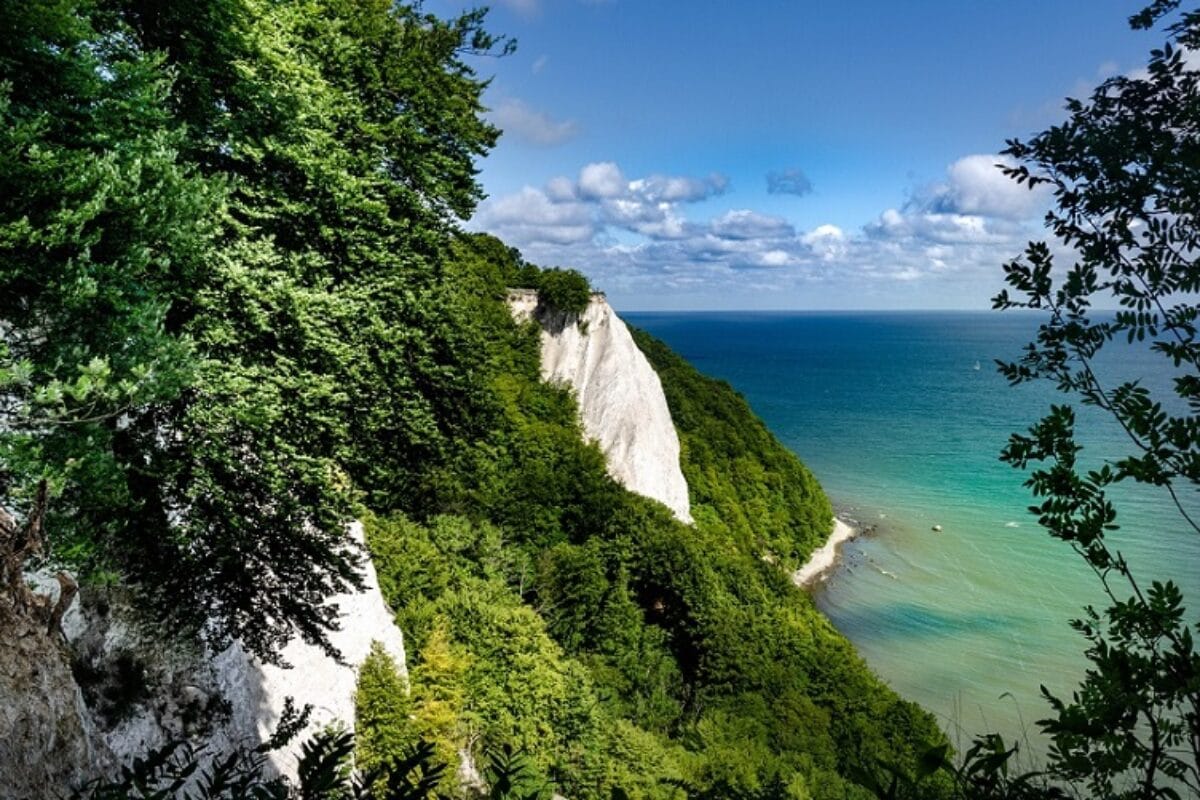 Kreidefelsen von Rügen