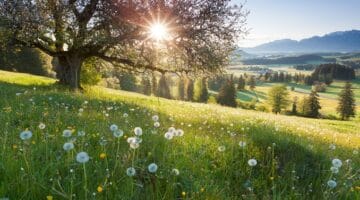 Die schönsten Orte in Deutschland