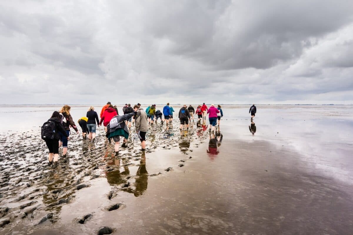 Wattwanderung Nordsee