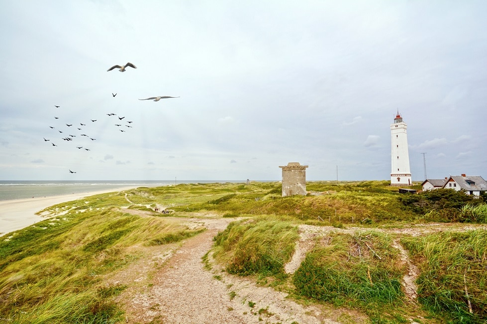 Westjütland - schöne Tage in Dänemark