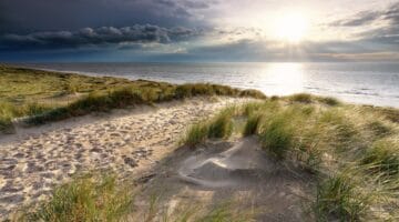 Zandvoort - Strand Urlaub