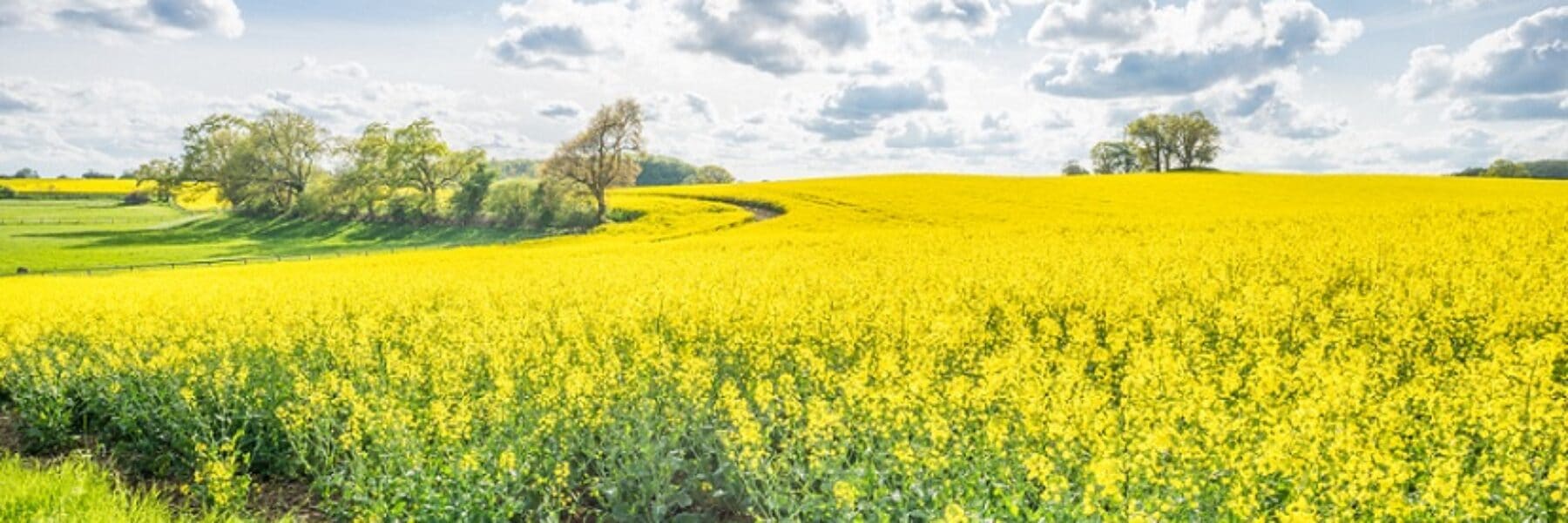 Ausflugsziele Schleswig Holstein