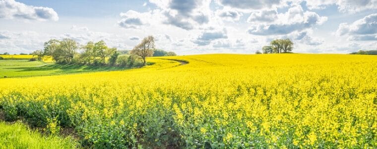 Ausflugsziele Schleswig Holstein