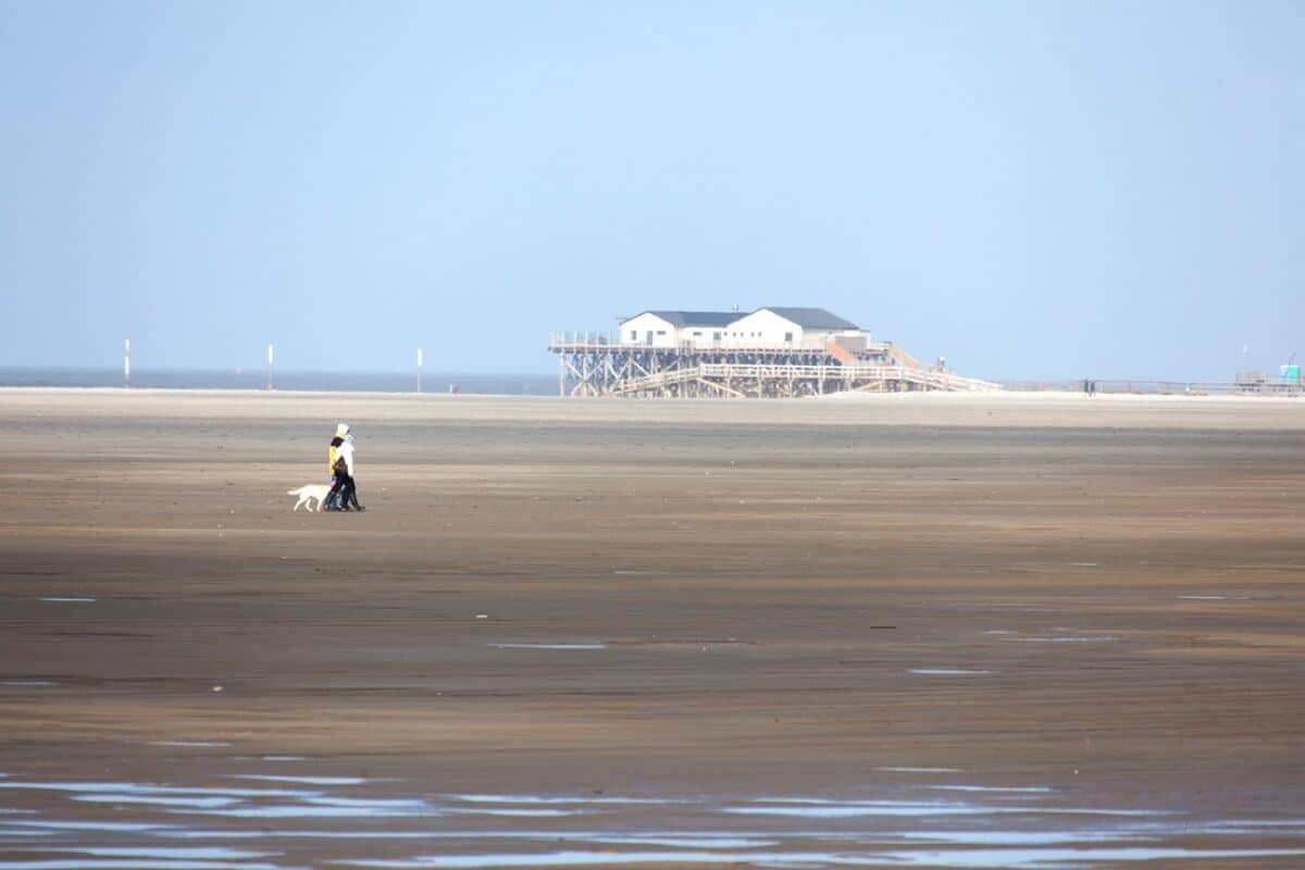 Urlaub mit Hund in St. Peter Ording