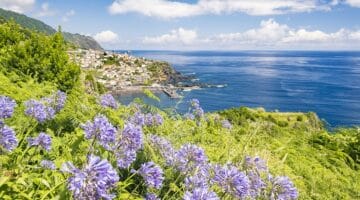 Reiseführer für die Blumeninsel Madeira
