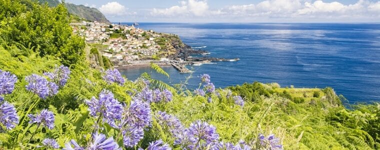 Blumeninsel Madeira