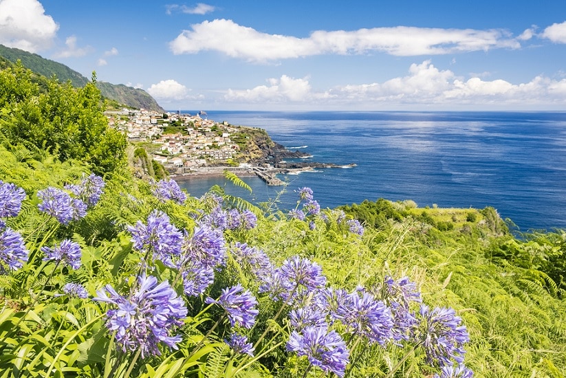 Blumeninsel Madeira