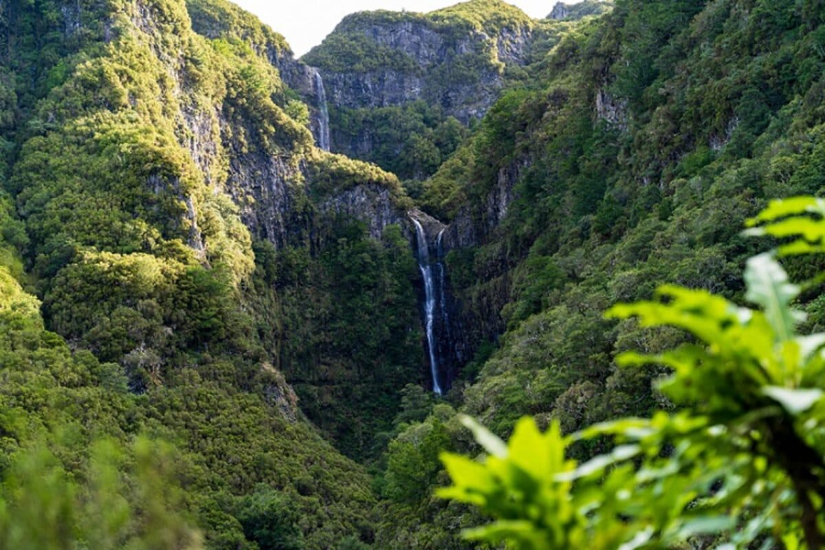 Wasserfall 25 Fontes