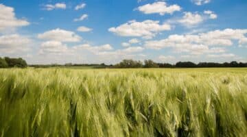 die schönsten Ausflugsziele in Mecklenburg-Vorpommern