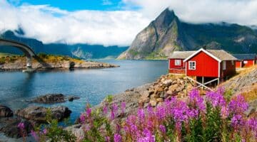 Reiseführer für Fjord Norwegen