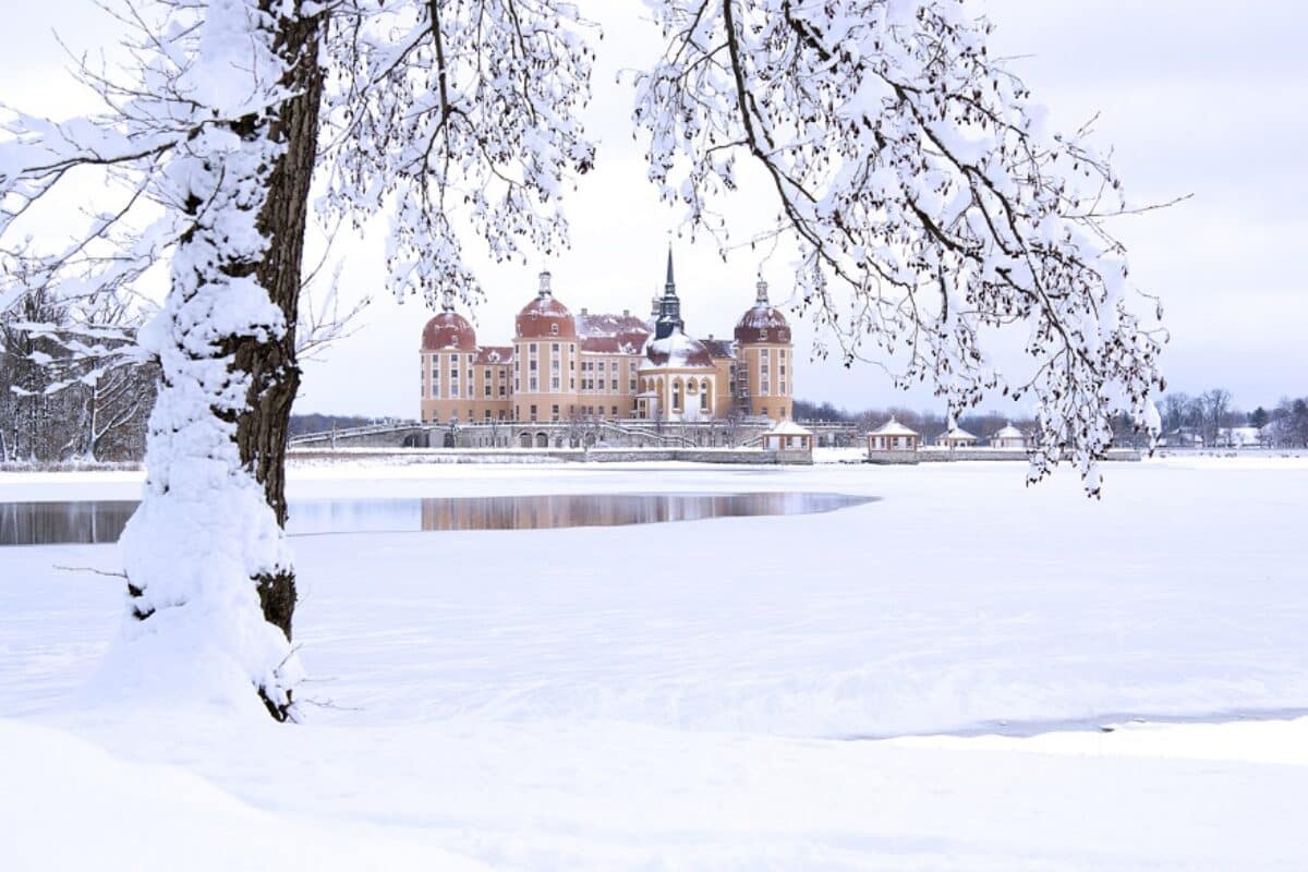 Schloss Moritzburg im Winter