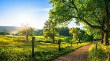 5 Top-Regionen in Europa für einen unvergesslichen Wanderurlaub