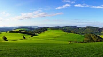 Sauerland mit Hund Der perfekte Urlaub mit deinem Vierbeiner