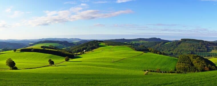 Sauerland mit Hund Der perfekte Urlaub mit deinem Vierbeiner