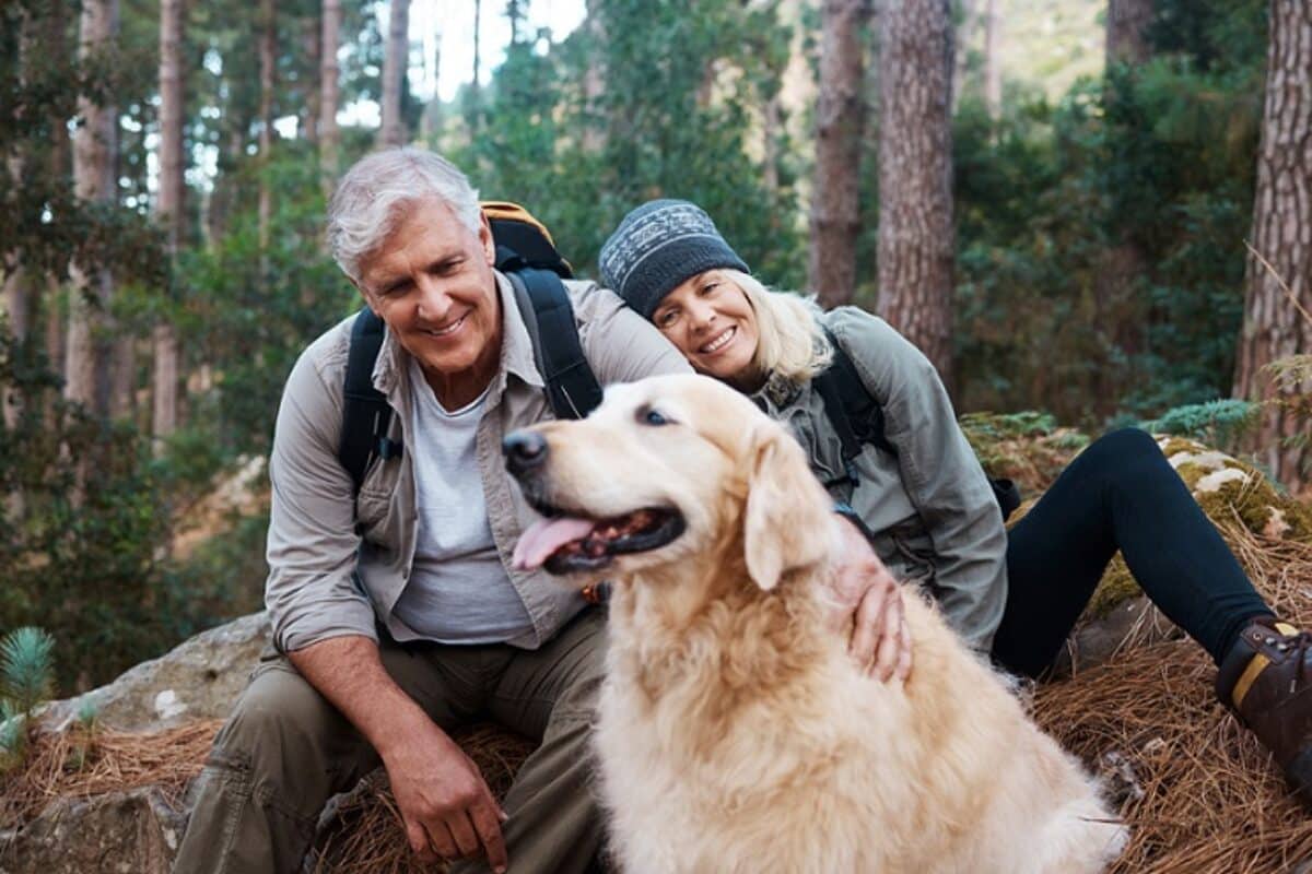 Wandern mit Hund im Sauerland