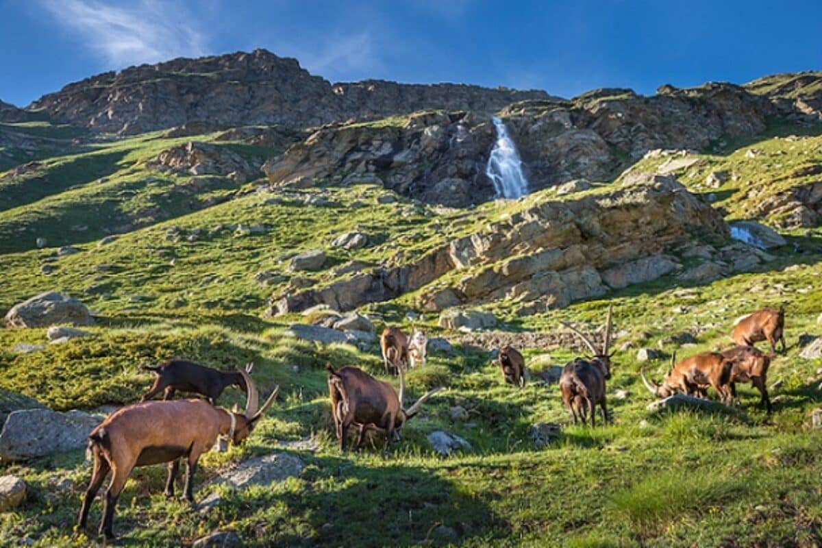 Nationapark Vanoise