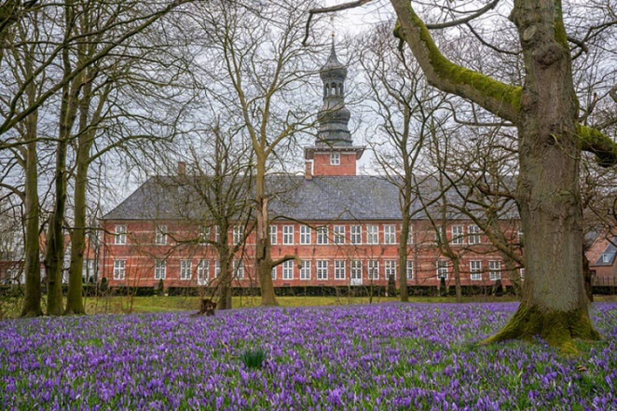 Frühling Deutschland: Husum