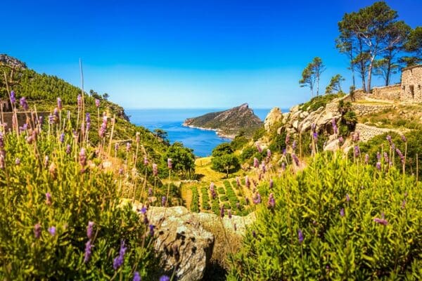 Wandern auf Mallorca