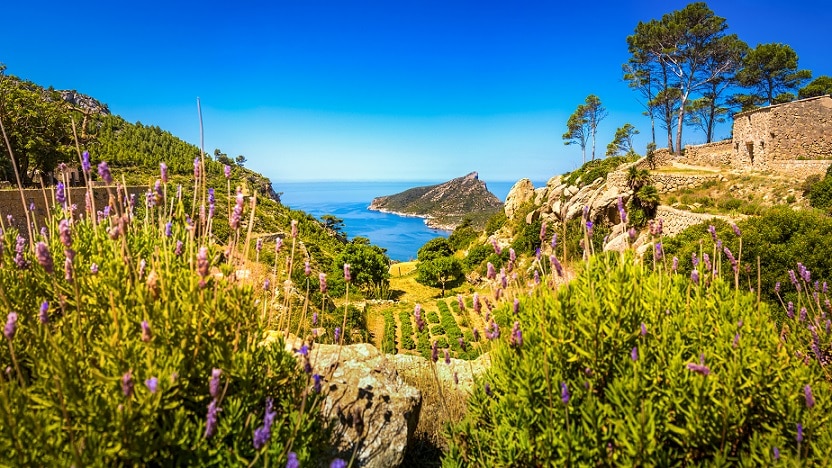 Wandern auf Mallorca