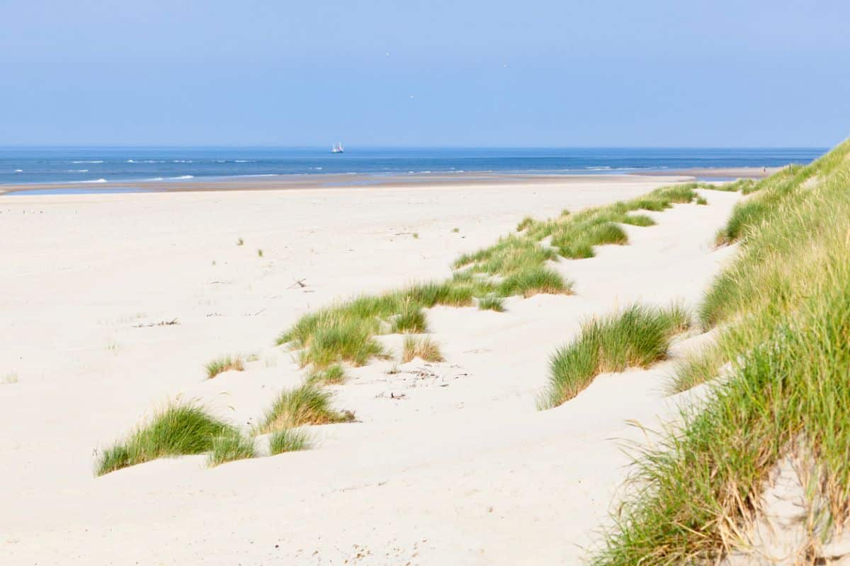 Dünenlandschaft auf Norderney
