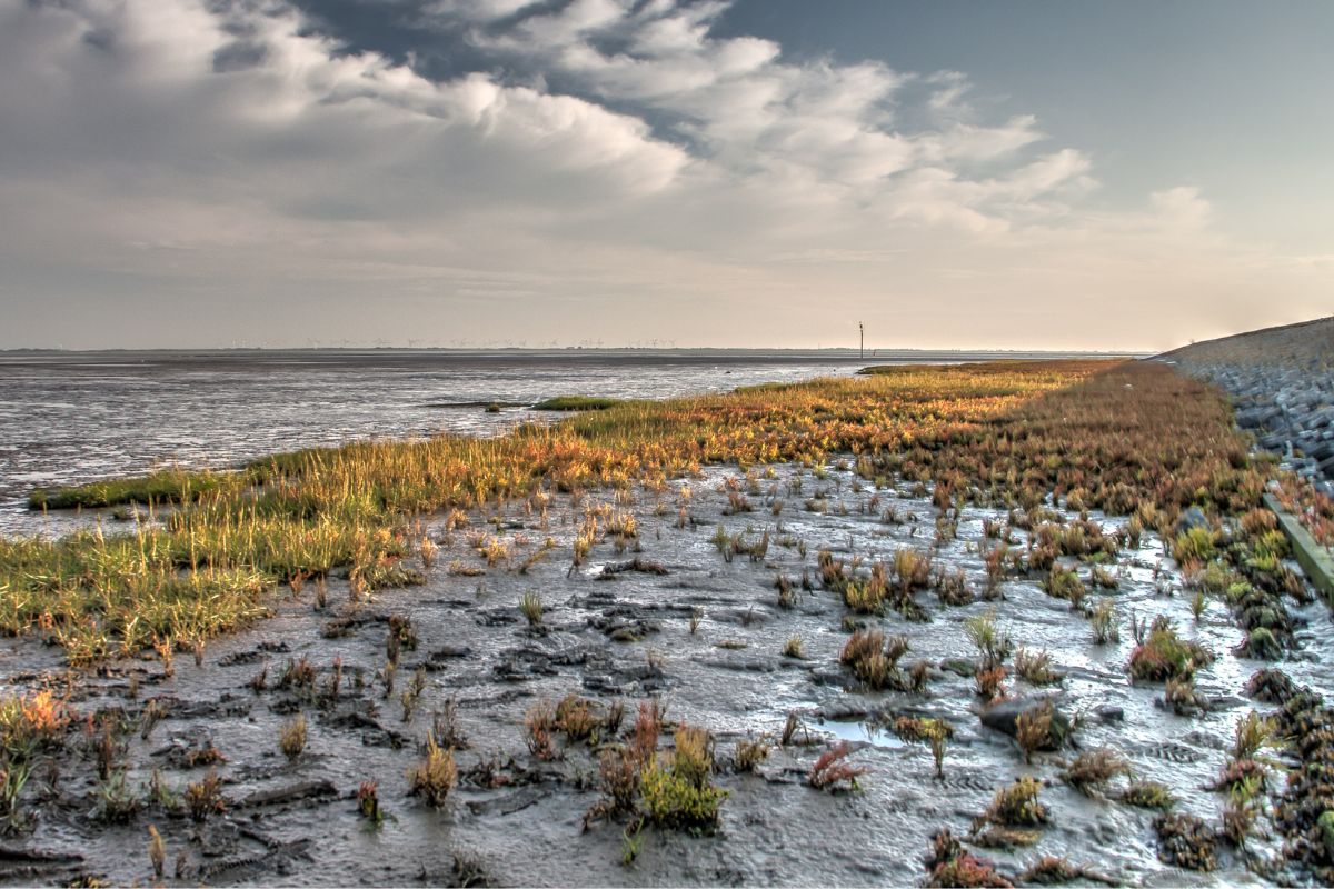 Wattenmeer auf Norderney