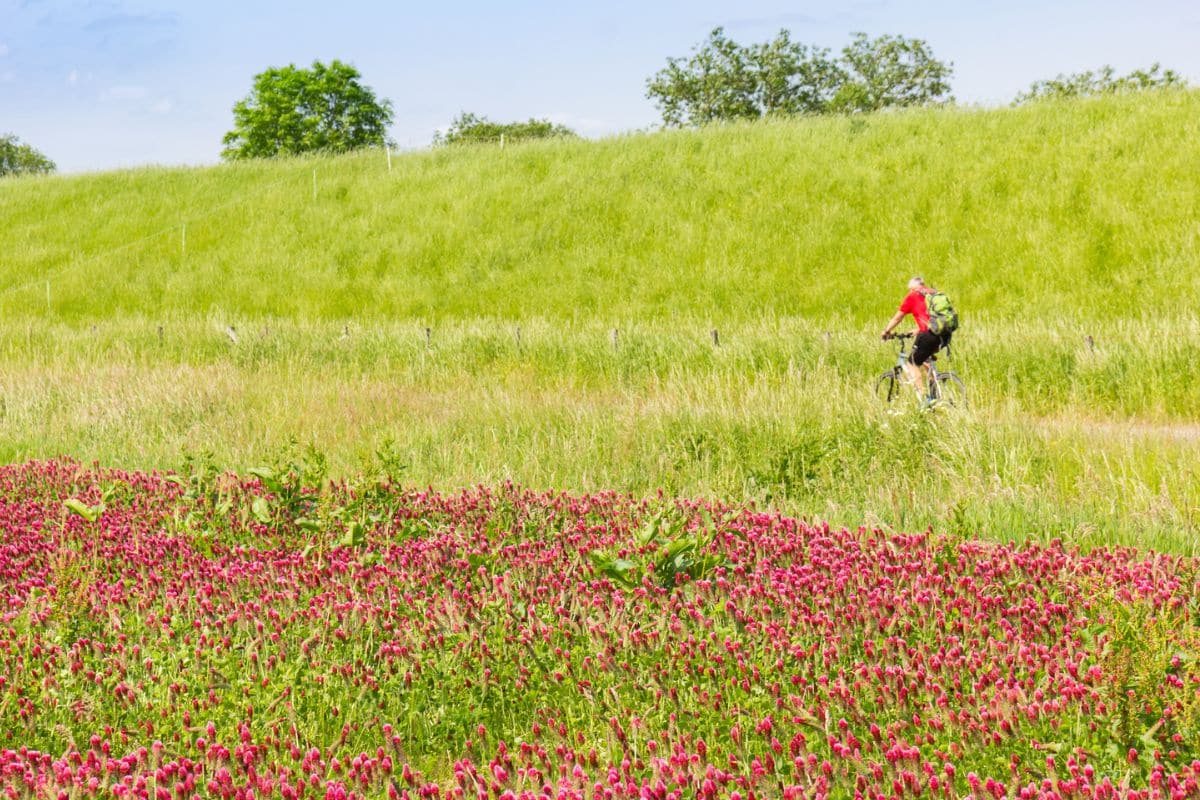 Einer von vielen Ausflugszielen im Emsland: Erkunde die Landschaft mit dem Fahrrad