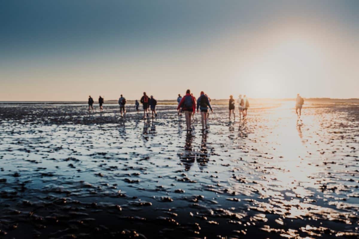 Wattwanderung auf Sylt