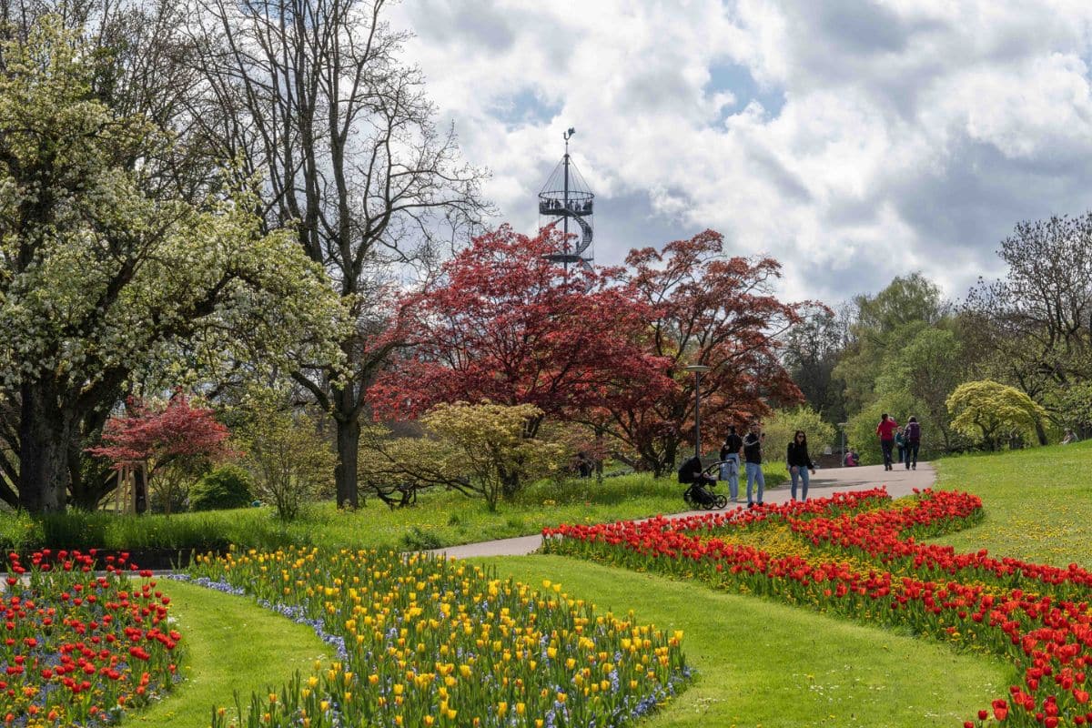 Grenzt an das Freibad an: Höhenpark Killesberg
